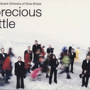 Precious Little by The Ukulele Orchestra of Great Britain - album cover