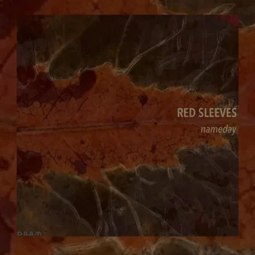 Red Sleeves by Nameday - album cover