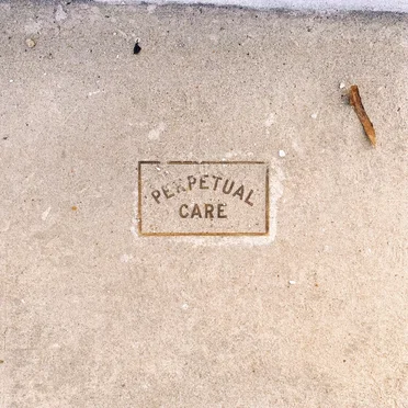 Perpetual Care by Adam Trabold - album cover