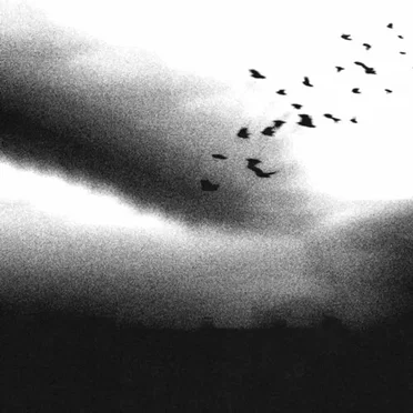 BLACKBIRD by Chanje - album cover