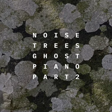 Noise Trees