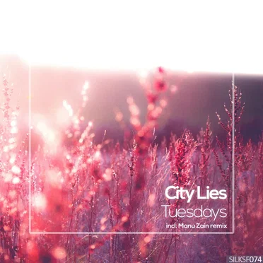 Tuesdays by City Lies - album cover