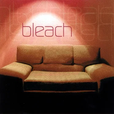 Bleach