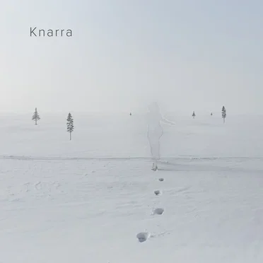 Knarra by ALL iN FAZE - album cover