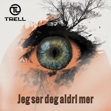 Jeg ser deg aldri mer