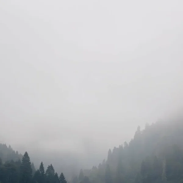 Overcast