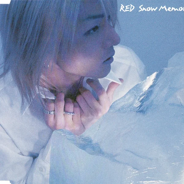 Snow Memory