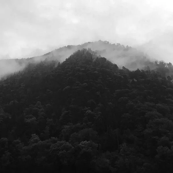 Environmental Music for Reading