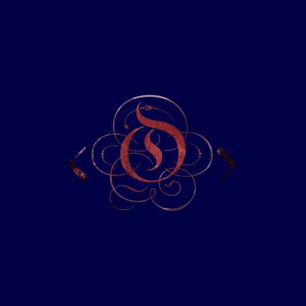 An Observed Earth