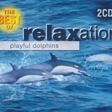 The Best of Relaxation: Playful Dolphins