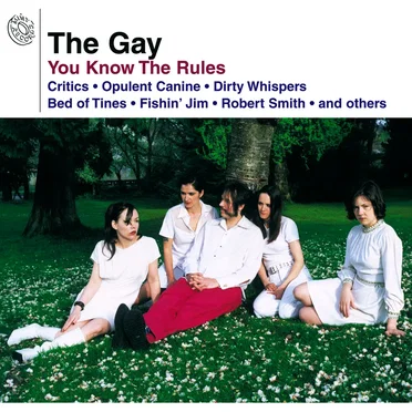 You Know the Rules by The Gay - album cover