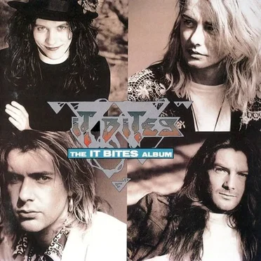 The It Bites Album