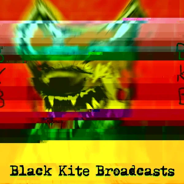 Black Kite Broadcasts