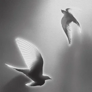 Doves, '25 on Blank Canvas by Hindia - album cover