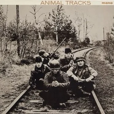 Animal Tracks