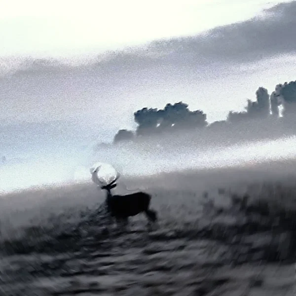 Untraveller [part I]