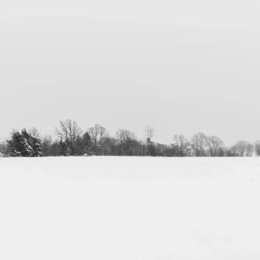 One Winter's Day