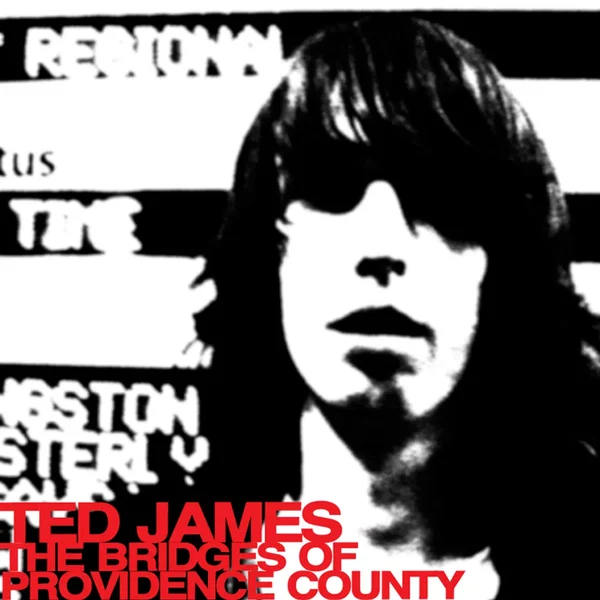 The Bridges of Providence County