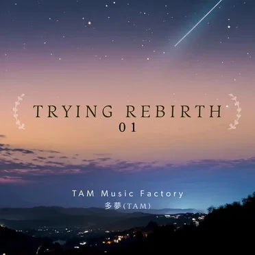 TRYING REBIRTH 01 by TAM Music Factory - album cover