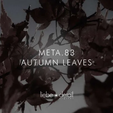 Autumn Leaves by Meta.83 - album cover