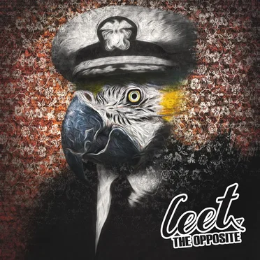The Opposite by Leet - album cover