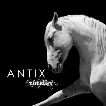 Cavalier by Antix - album cover