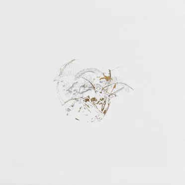 Brutal Flowers by YS - album cover