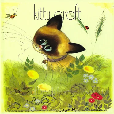 Beats and Breaks From the Flower Patch by Kitty Craft - album cover