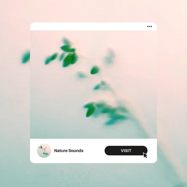Nature Sounds