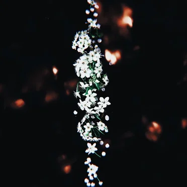 ONLY / HIGH