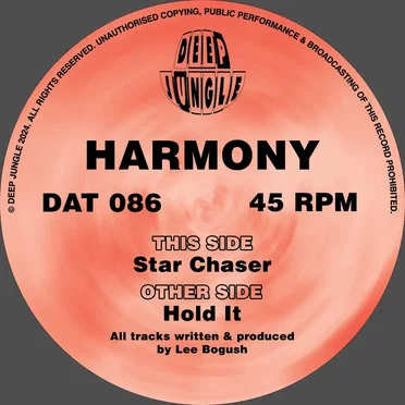 Hold It / Star Chaser