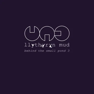 Behind the Small Pond 3 by Llythyryn Mud - album cover