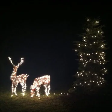 A Sirun Baron Christmas