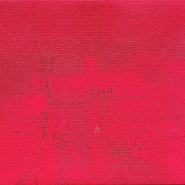 Laughing in the Morning by Cavil - album cover