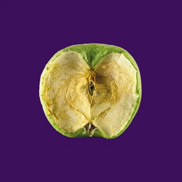 Built on Ashes by Zeal & Ardor - album cover