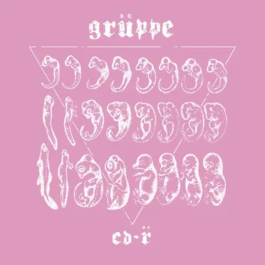 CD-R by Grüppe - album cover