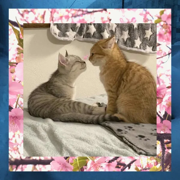 I'll be floating around you like a ghost