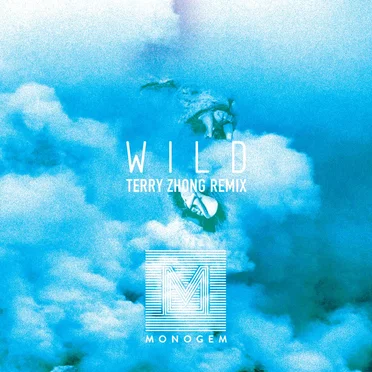 Wild (Terry Zhong remix)