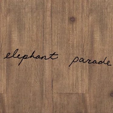 Bedroom Recordings by Elephant Parade - album cover