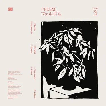 Tape 3/Tape 4 by Felbm - album cover