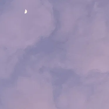 lights turn low