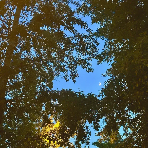 transitions
