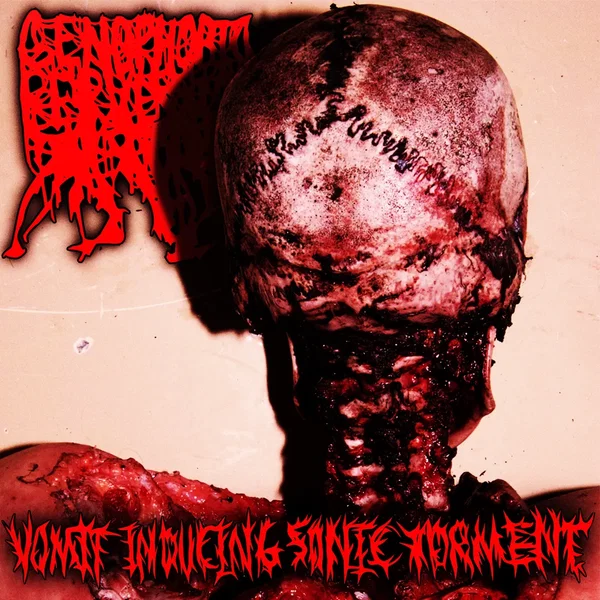 Vomit Inducing Sonic Torment