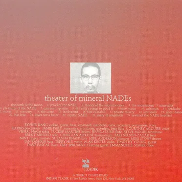 Theater of Mineral NADEs