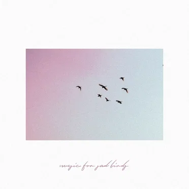 Music for Sad Birds
