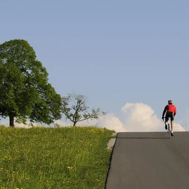 Monolog eines Radfahrers by Uwe Dick - album cover