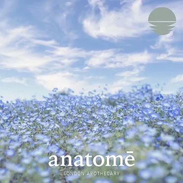 Blue Chamomile by Snoozy - album cover