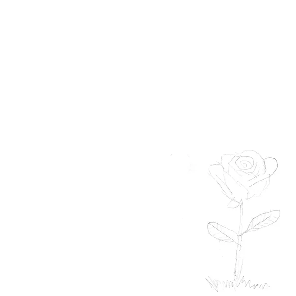 when white flowers bloom, a girl is born