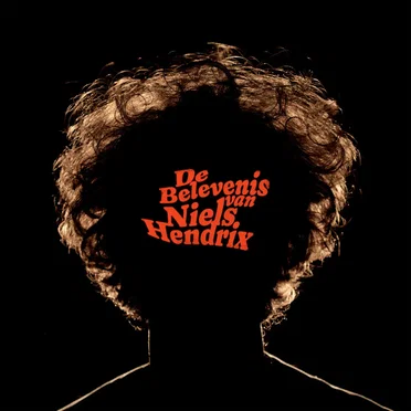 De Belevenis van Niels Hendrix by Niels Hendrix - album cover