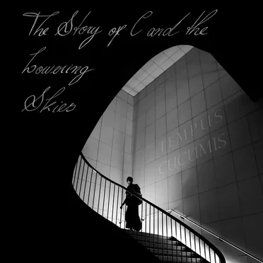 The Story of C and the Lowering Skies by Tempus Cucumis - album cover